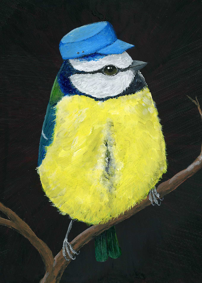 Mr Bluetit
