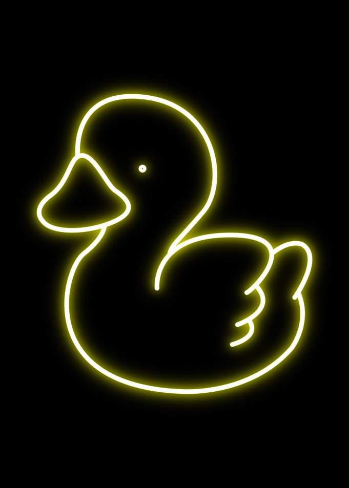 Duck Animal