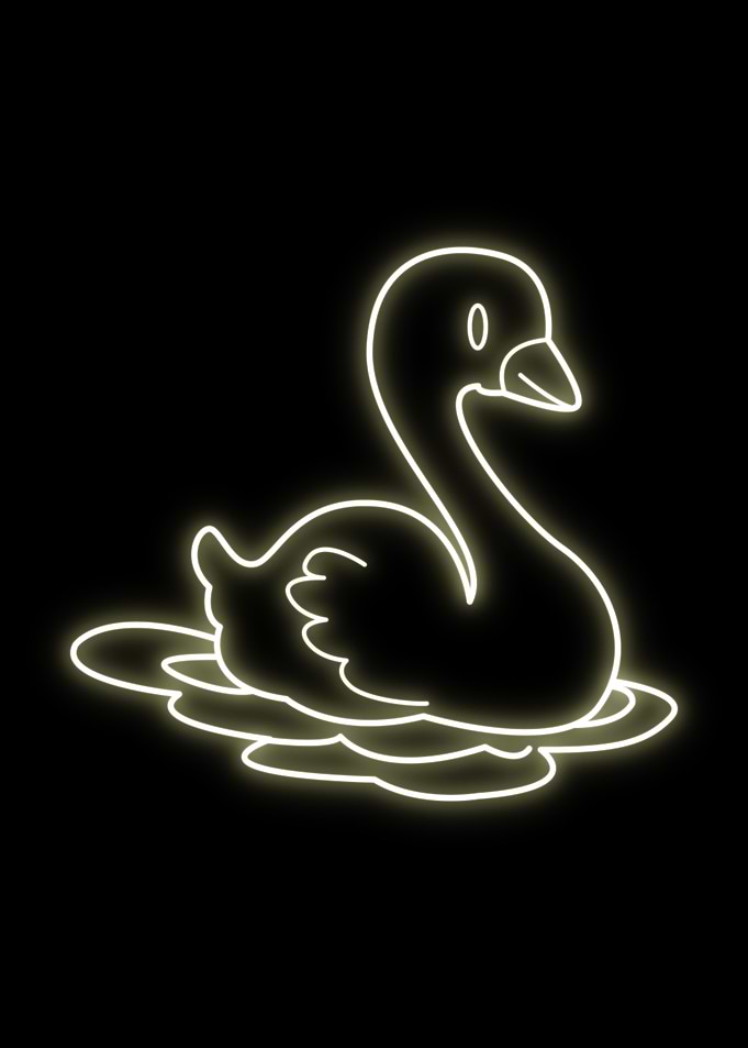 Duck Animal