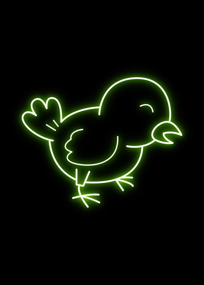 Chicken Animal