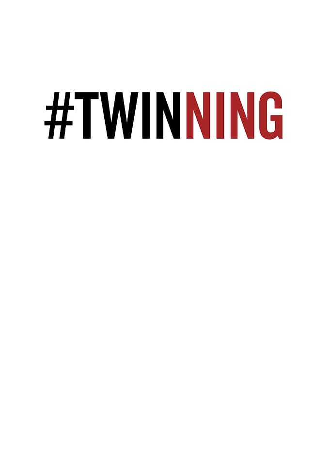 Twinning