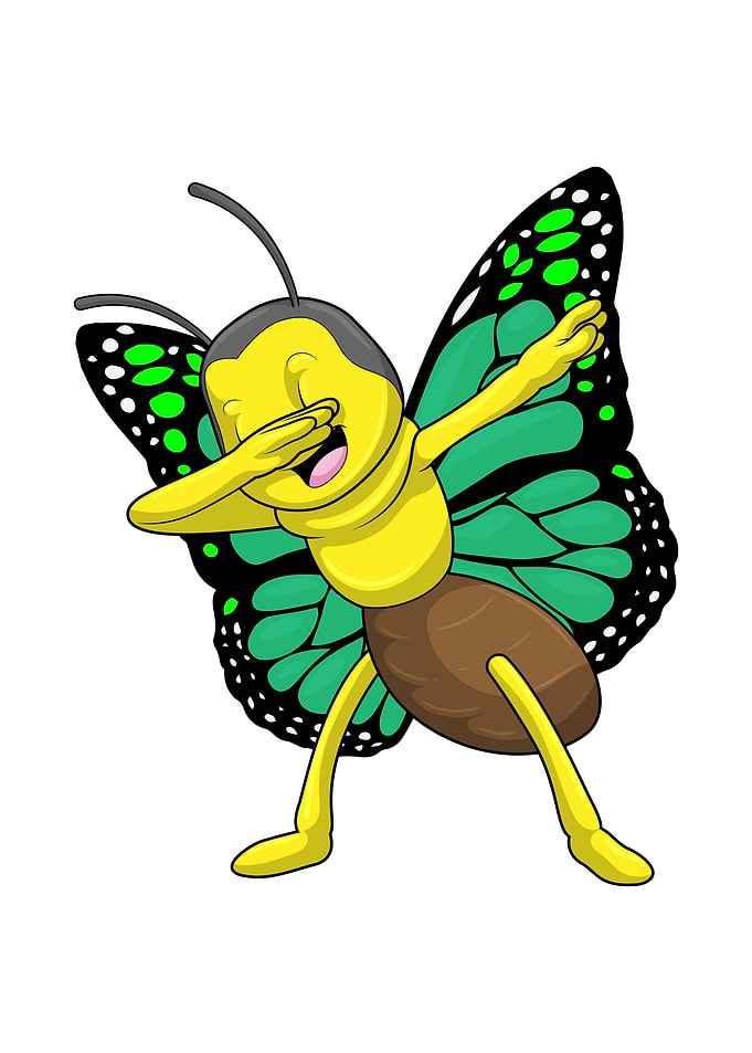 Butterfly Hip Hop Dance