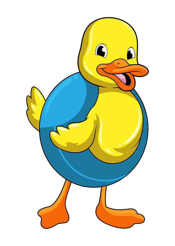 Duck Swimming Swim ring