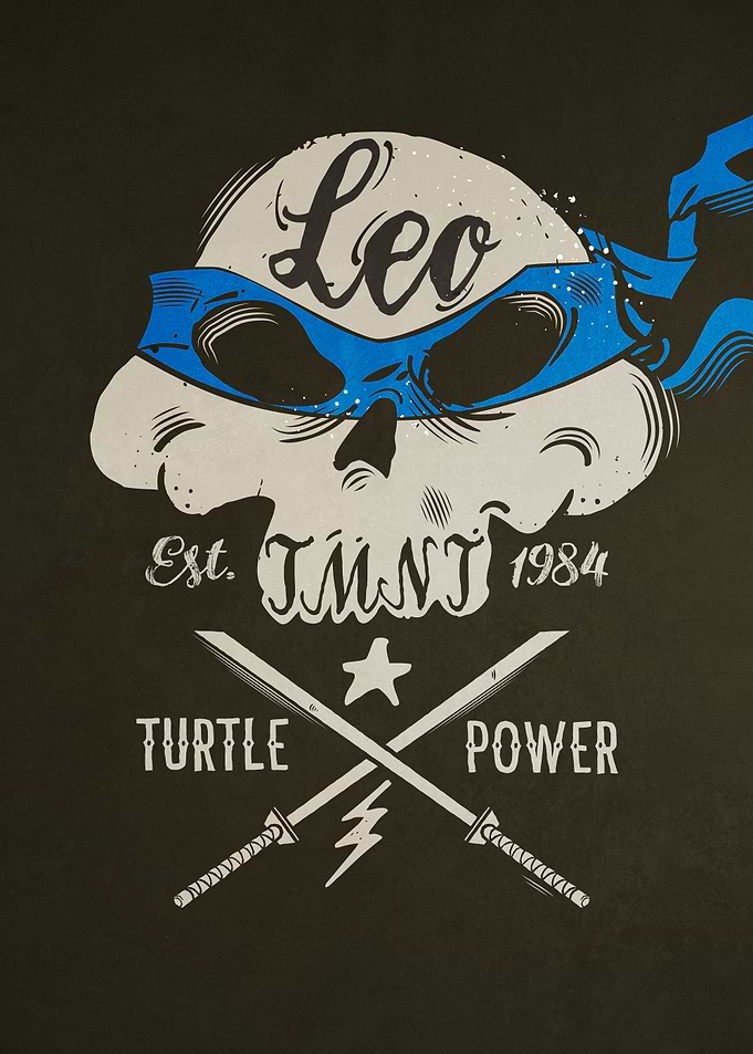 Leo Turtle Power