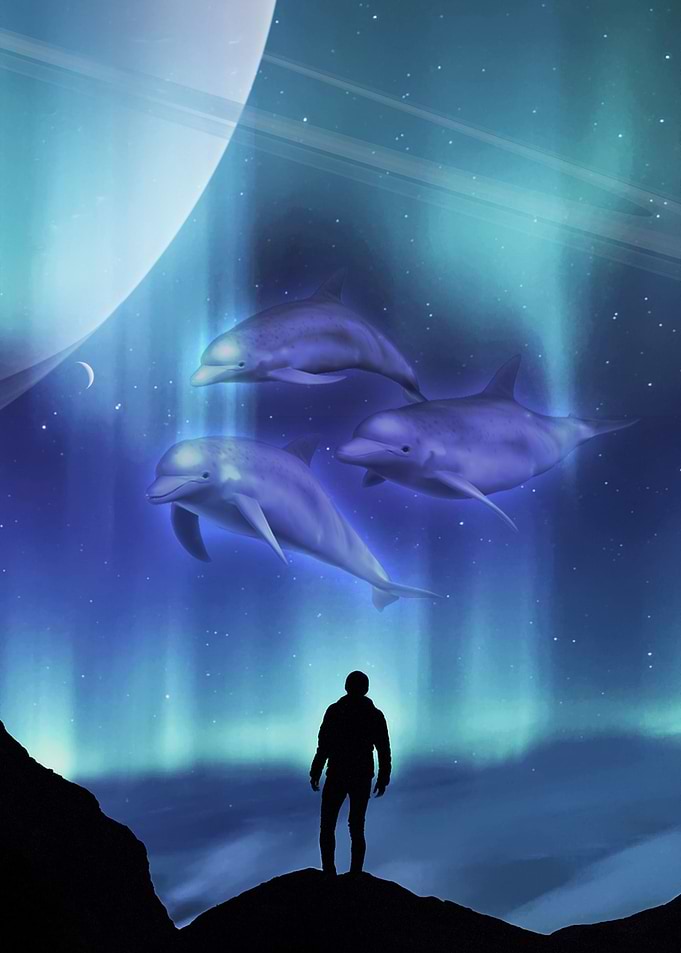 Space Dolphins