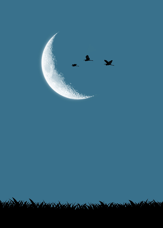 sky moon night