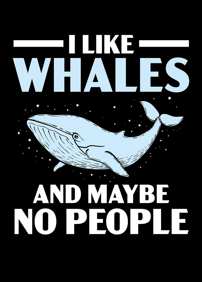 I Like Whales