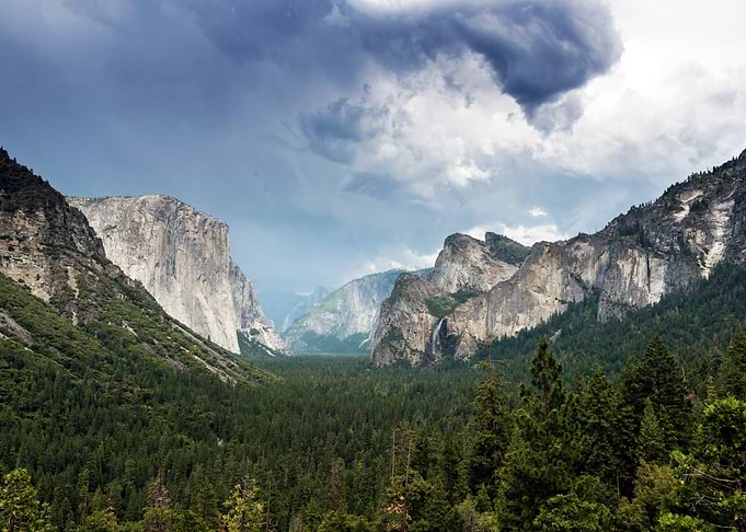 The Rocks in Forest Nature