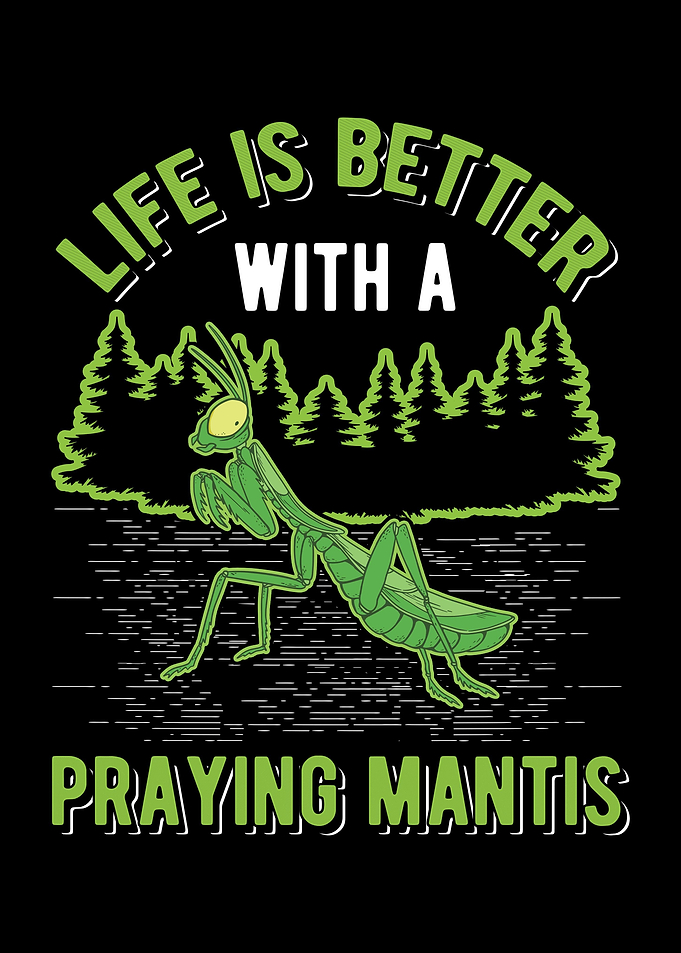 Praying Mantis Religiosa