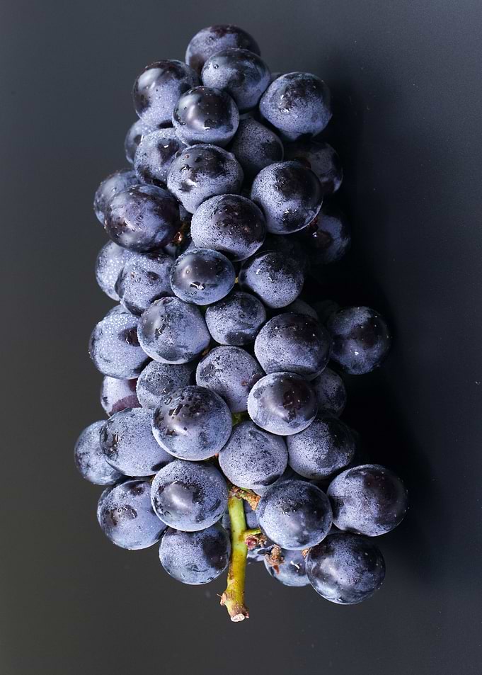 Blue Grapes Fruits Food