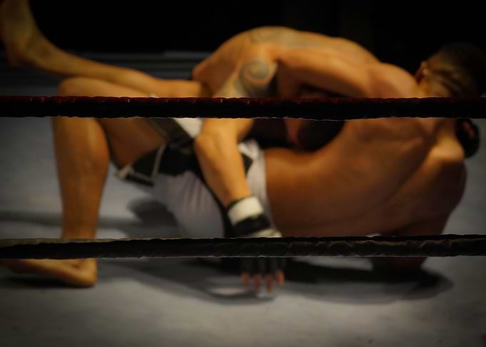 The wrestlers