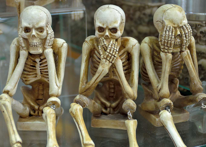 Skeletal mess