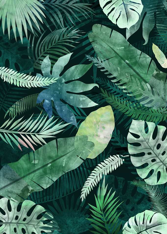 Tropical Art Design