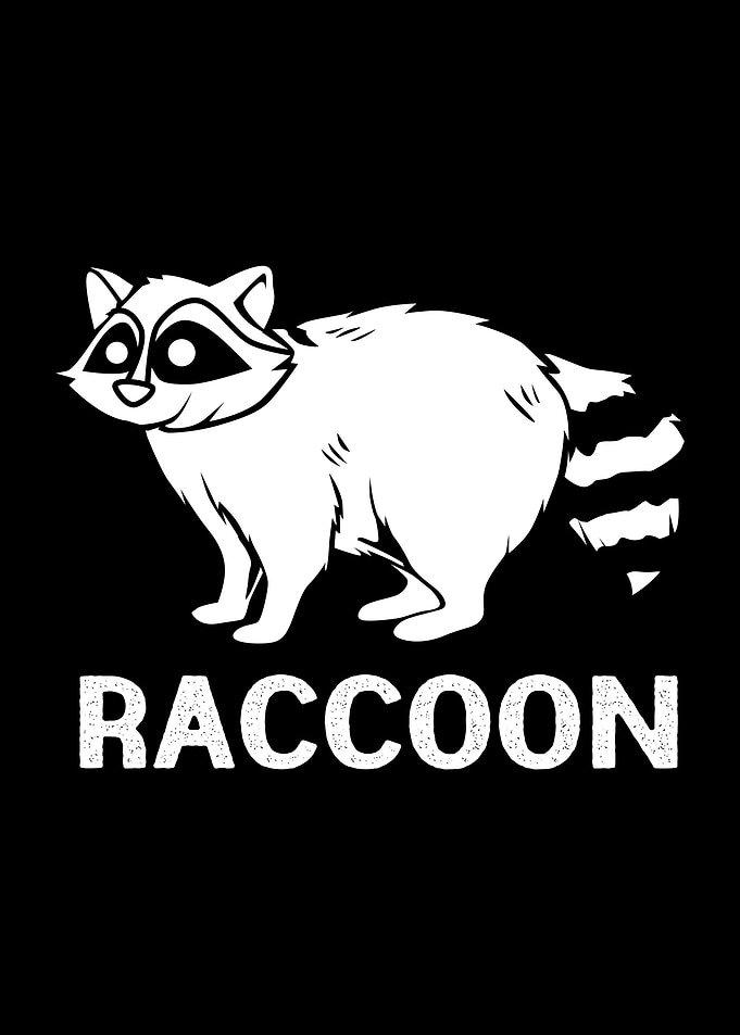 Kawaii Raccoon