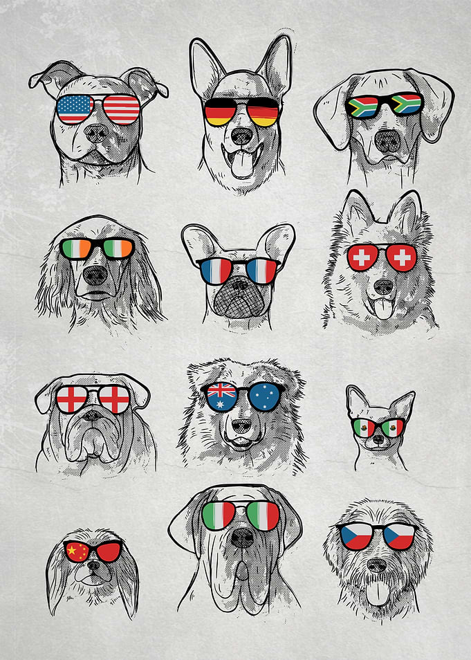 World dogs
