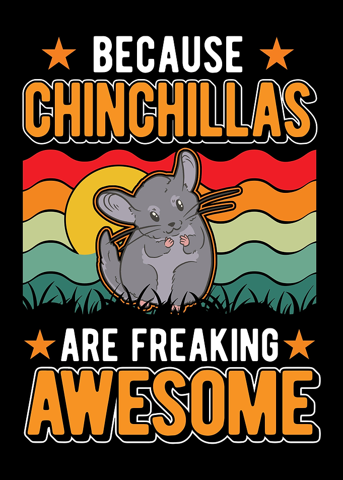 Chinchillas Are Awesome