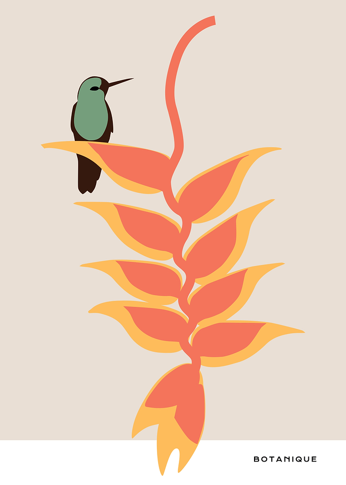 Cute Bird and tropicalleaf