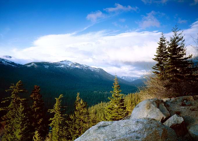 Mountains in Forest Nature