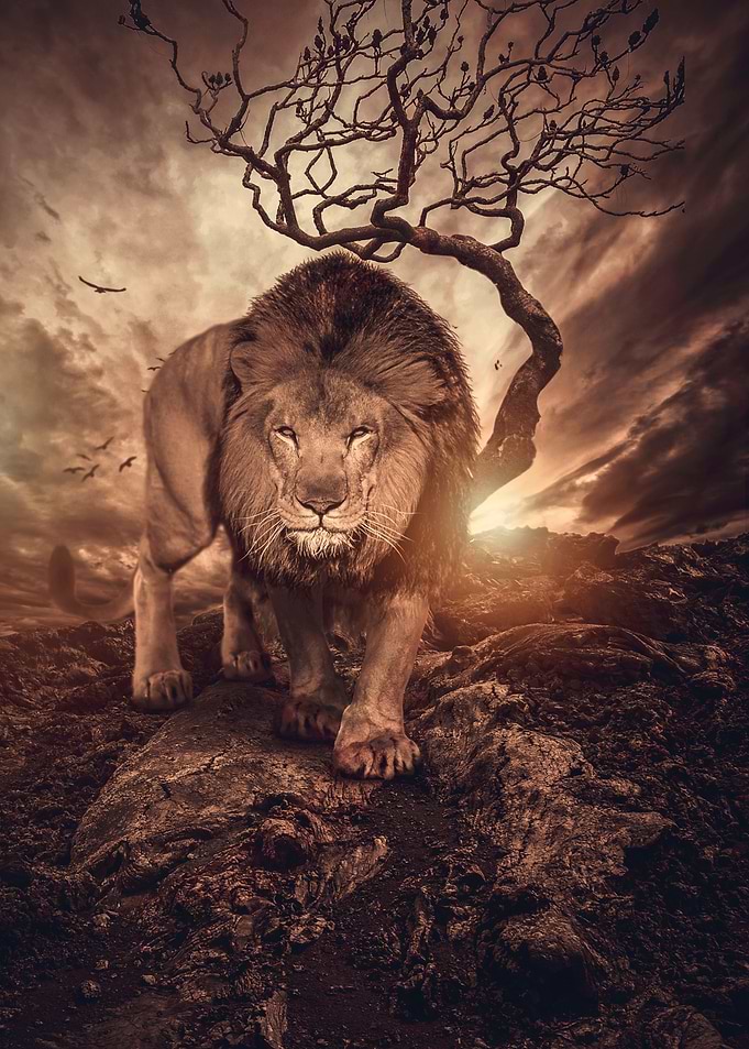 MAJESTY