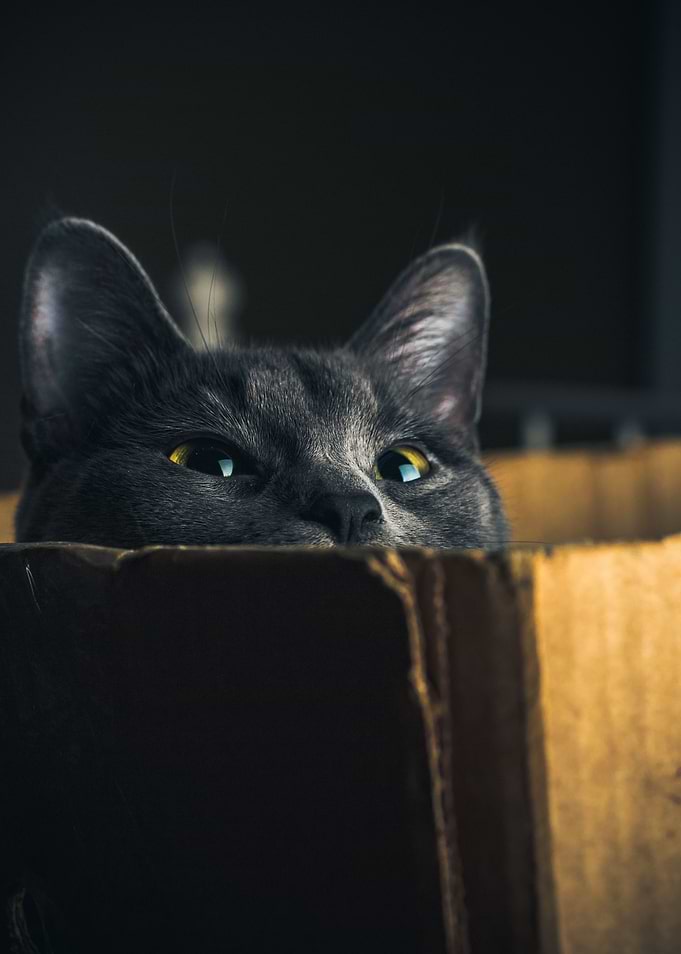 Box