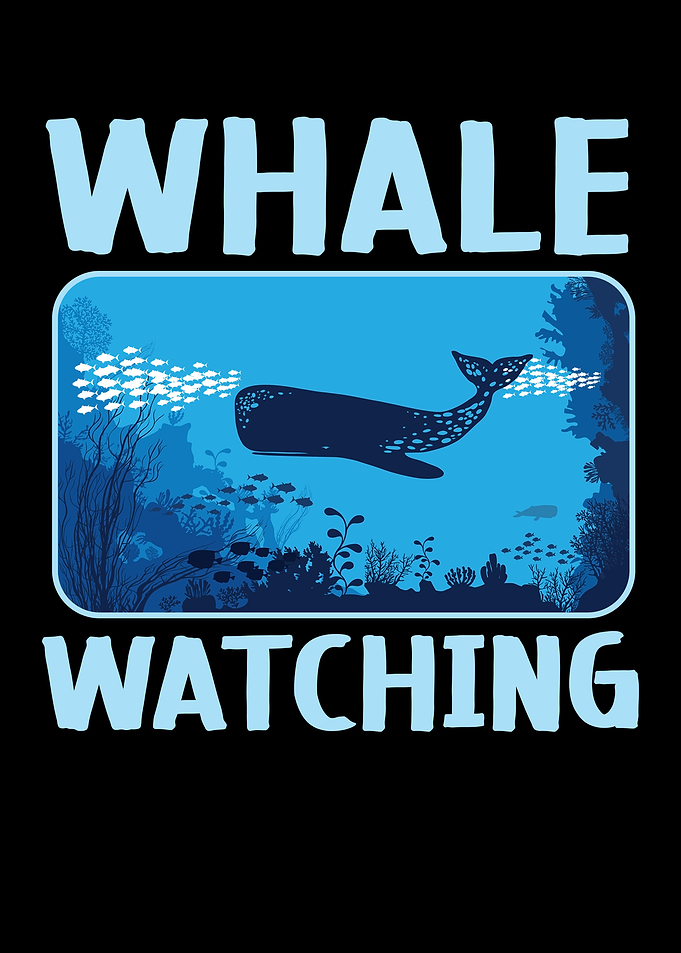 Whale Watching