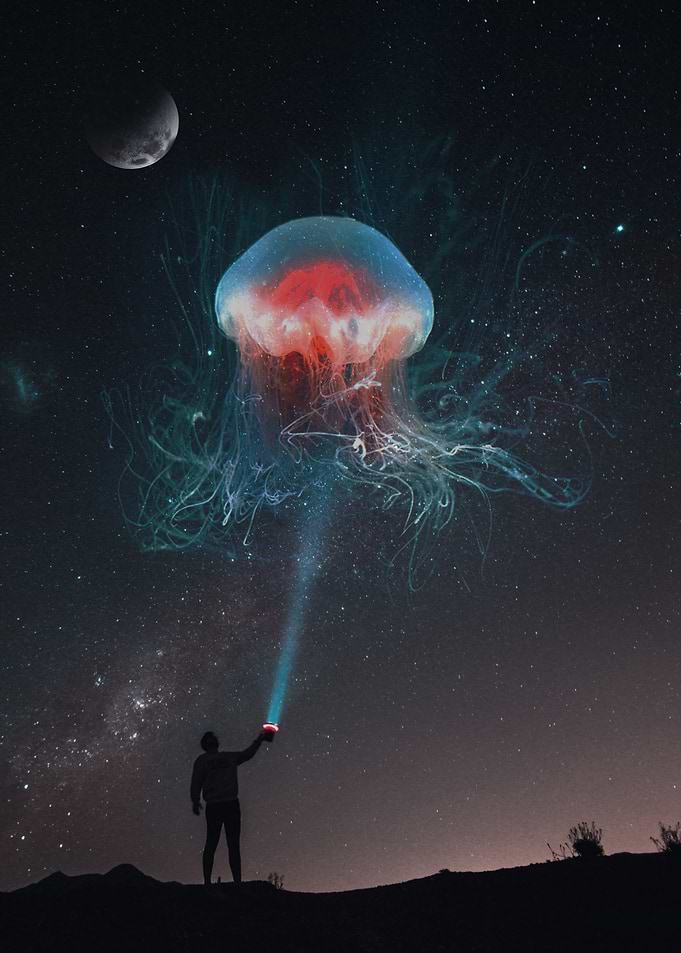 Cosmic Jellyfish