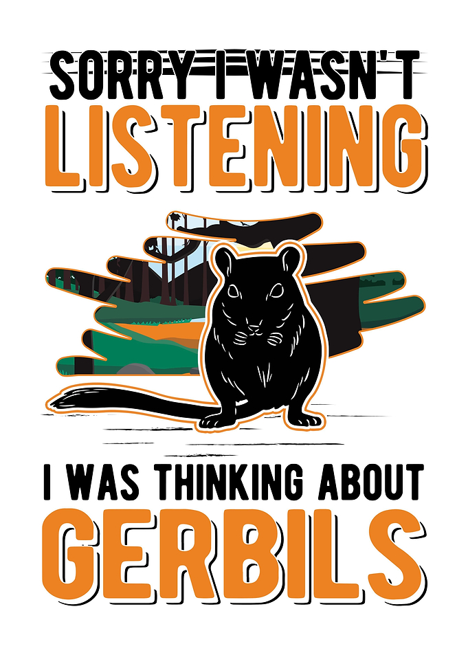 Gerbil Racing Rat Gerbil
