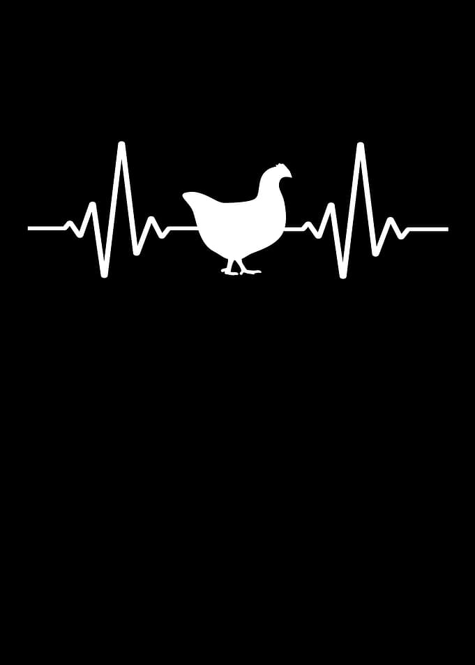 Chicken Chicken Farmer