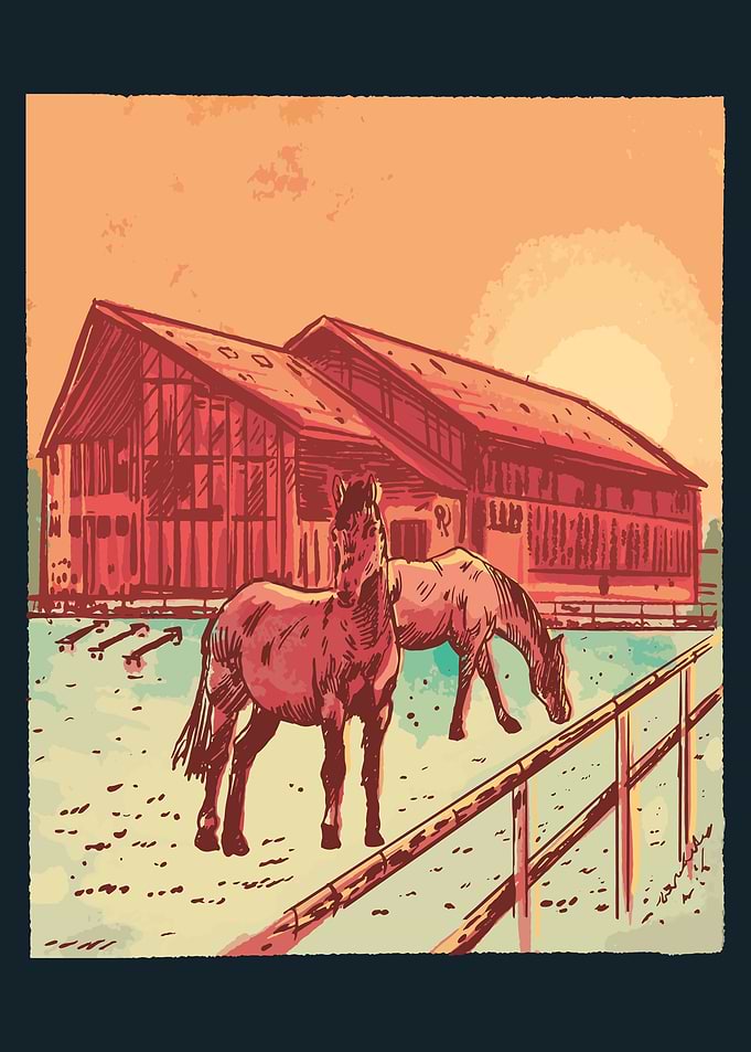 Stable sunrise