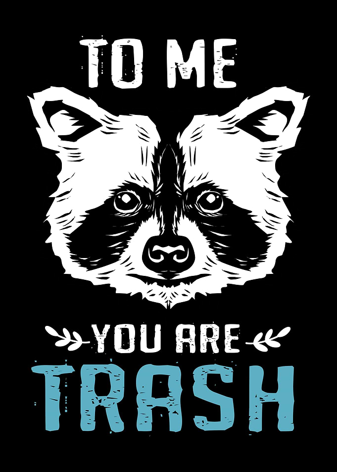 Raccoon You Are Trash