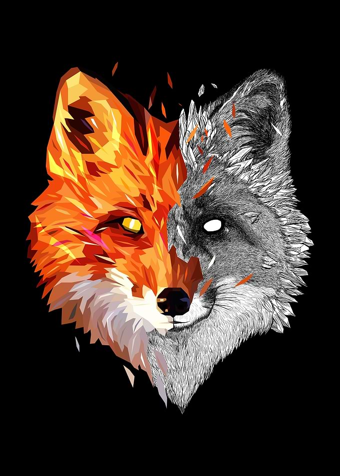 Fox GeoSketch