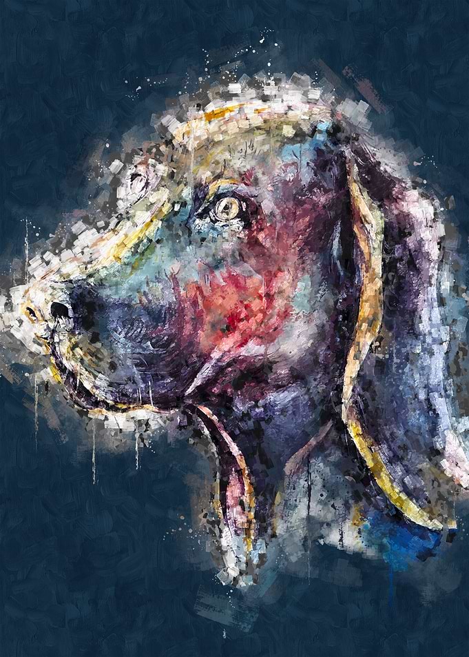 SCENT HOUND DOG PORTRAIT