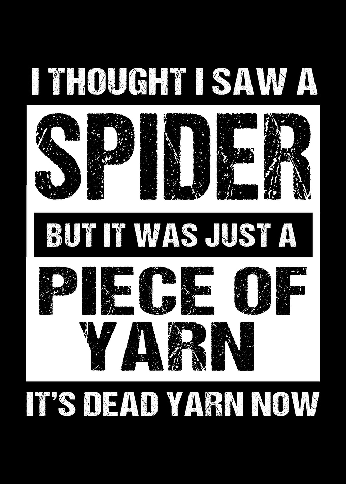 Crochet Spider Funny