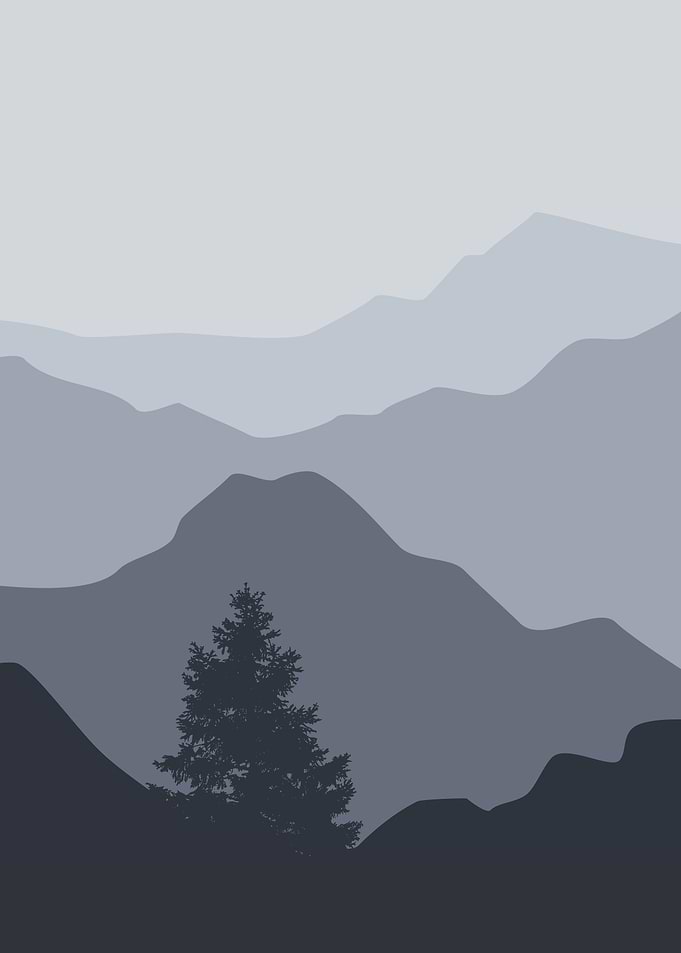 Morning Sunrise with trees