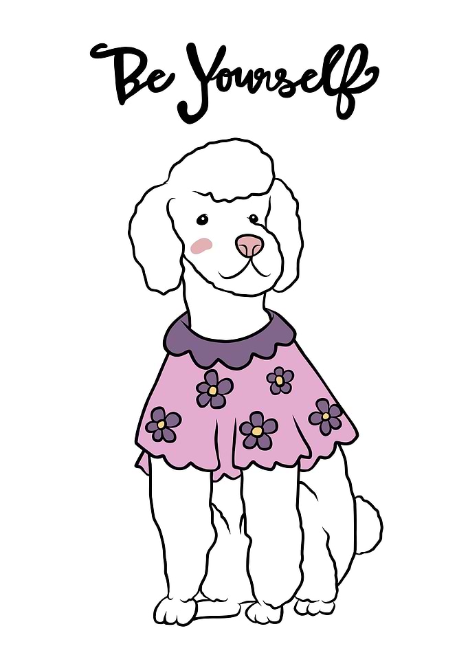 Be yourself poodle dog