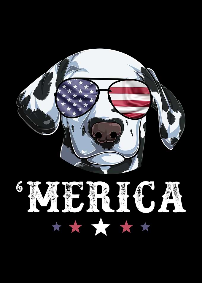 Dalmatian Dog 4th of July