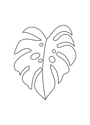 leaf