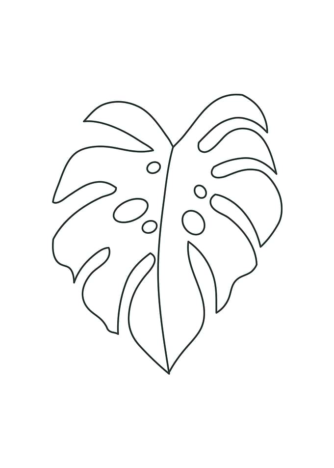 leaf