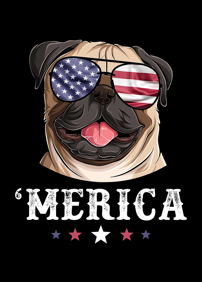 Pug Merica Dog 4th of July