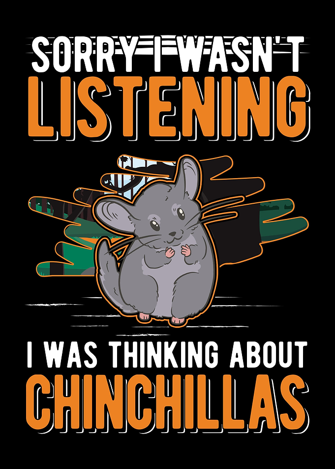 Chinchilla Dust Mouse Gift