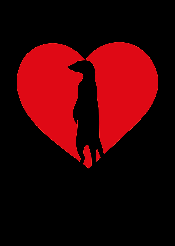Meerkat love heart