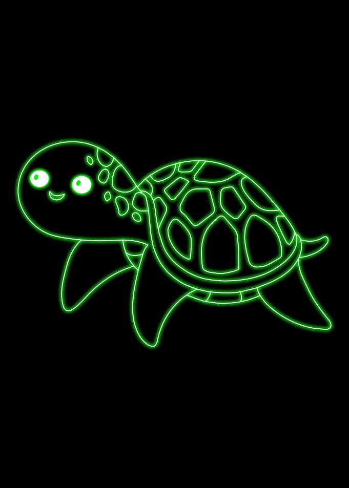 turtle Cute Animal