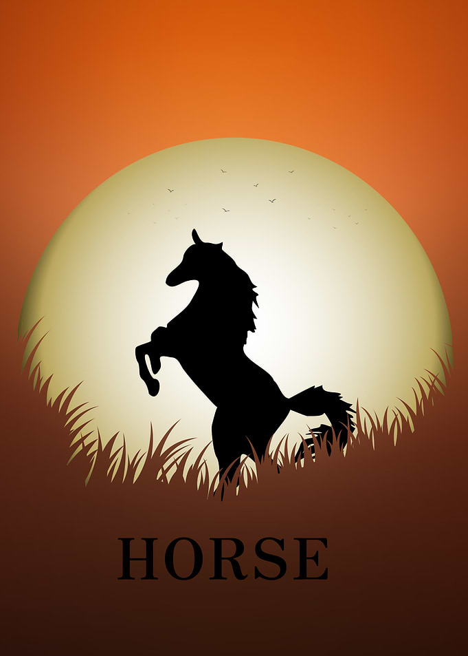 Horse Animal