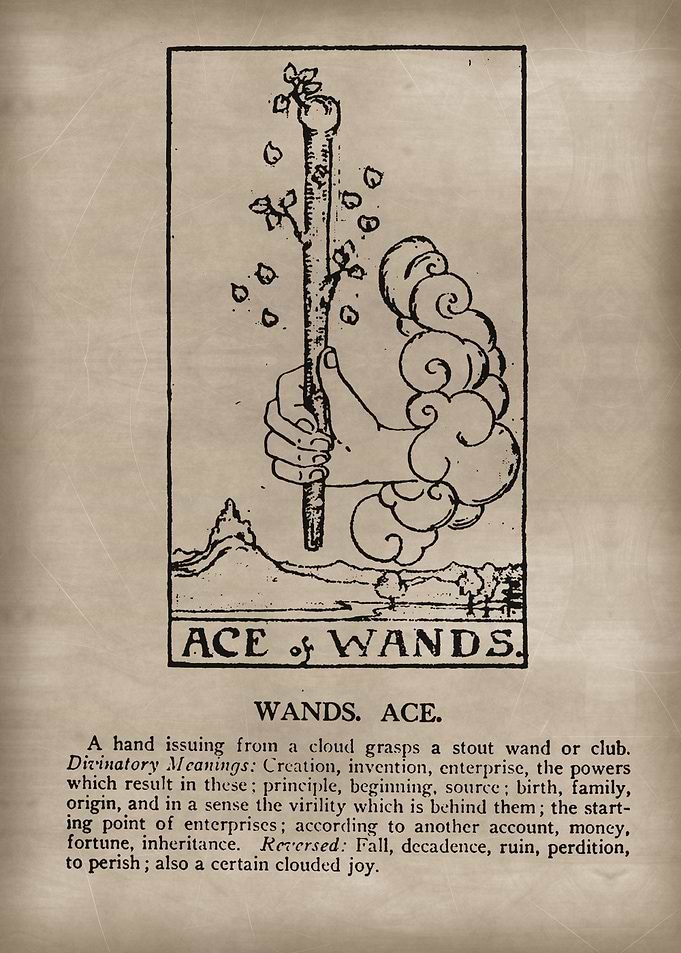 Ace of Wands Tarot Card