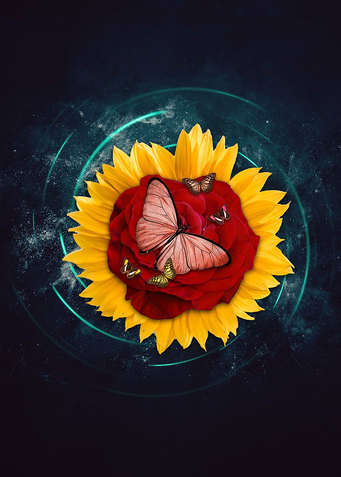 Flowers and Butterflies
