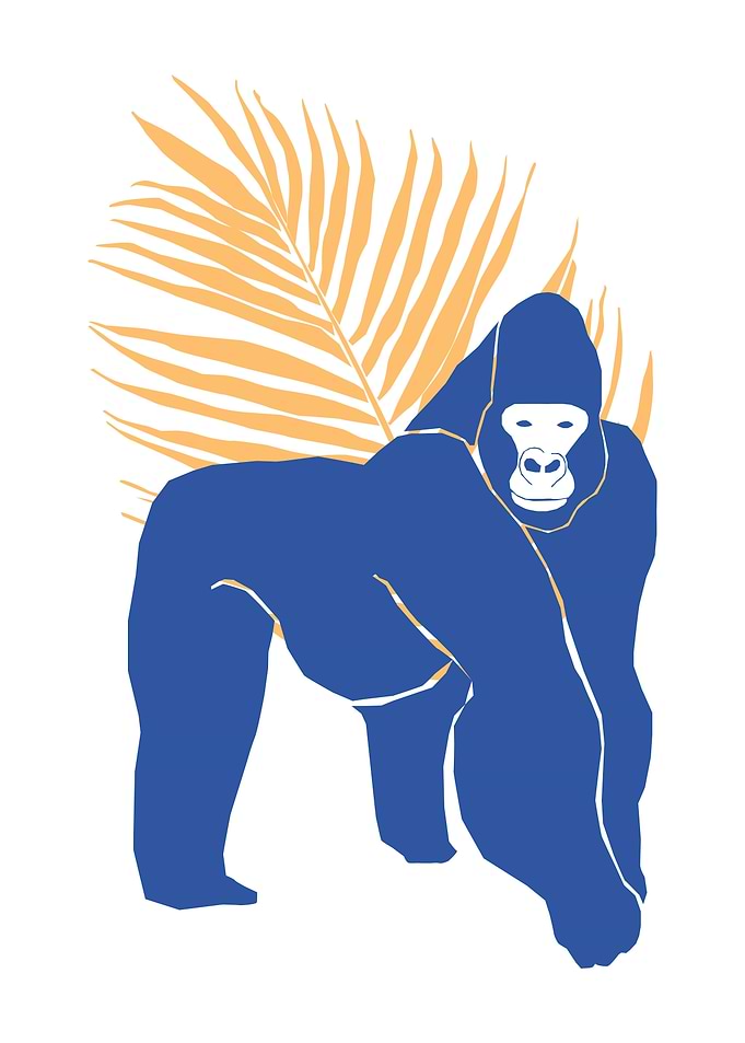Forest Zoo Animal Gorilla