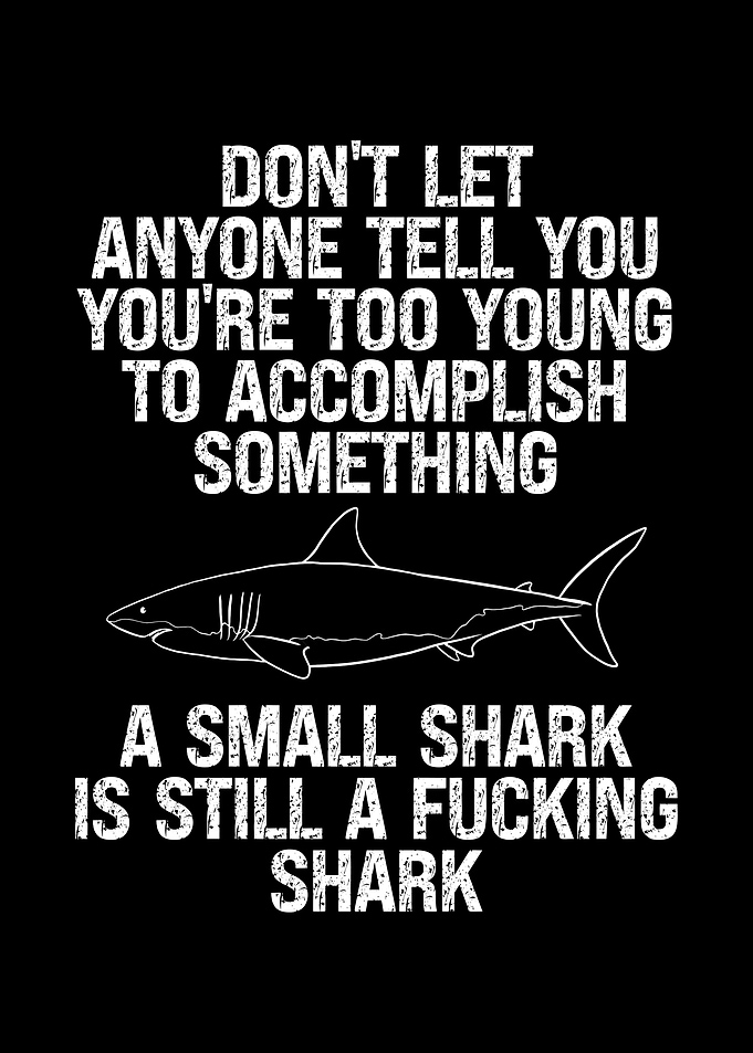 A small shark