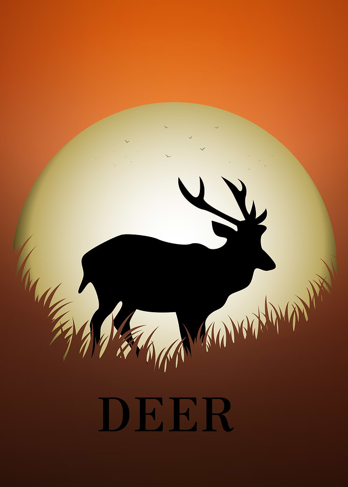 Deer Animal