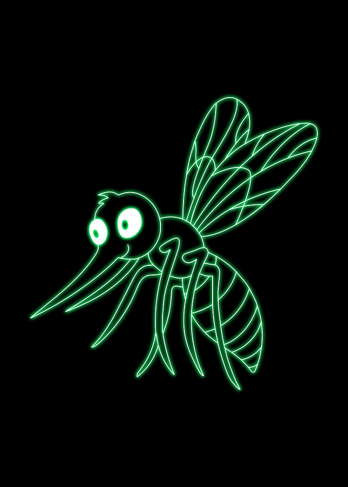 bee Cute Animal