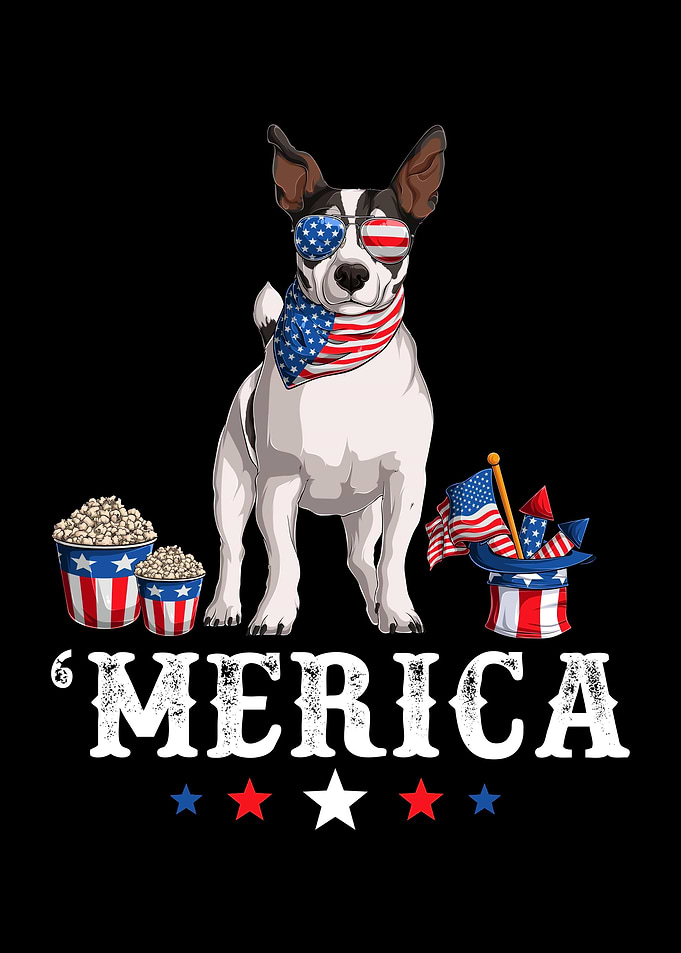 Jack Russell 4th of July